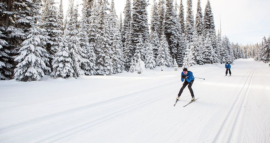 Some resorts have great nordic tracks. Photo: Sun Peaks Ski Resort Some resorts have great nordic tracks. Photo: Sun Peaks Ski Resort - image 0